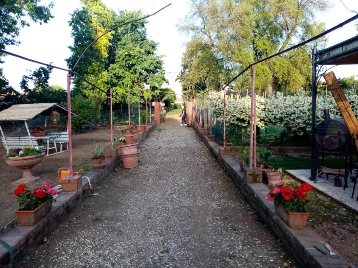 Alle Vecchie Mura Pistoia Luaran gambar