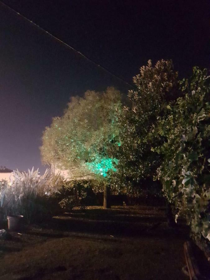 Alle Vecchie Mura Pistoia Luaran gambar